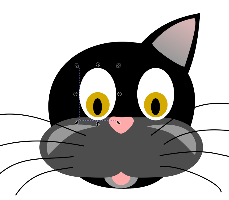 Kissan toinen silmä paikalleen