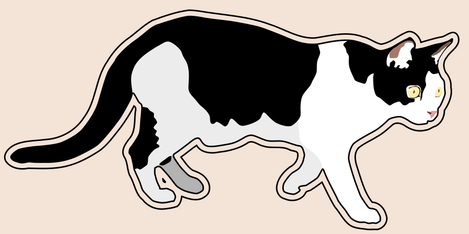 Mustavalkoinen kissa mustalla laajennetulla ääriviivalla