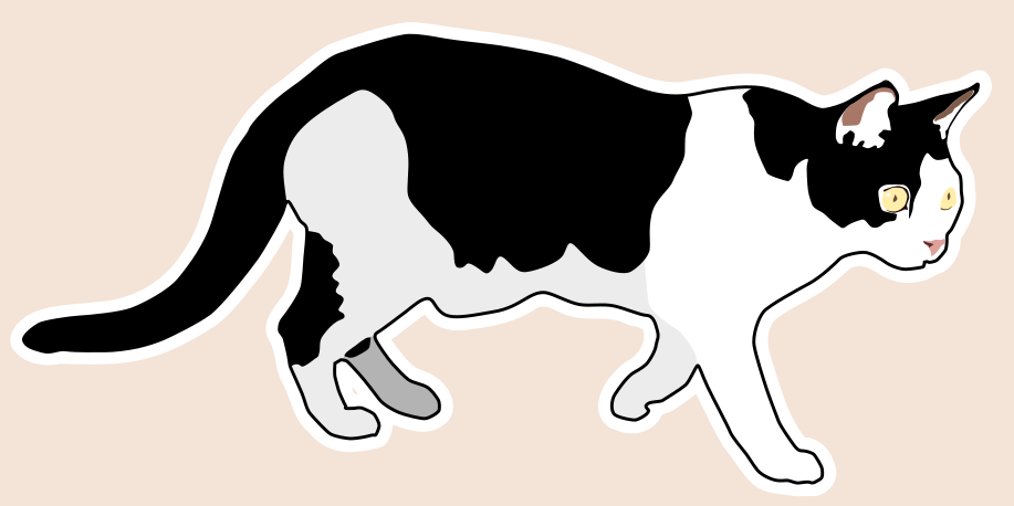 Mustavalkoinen kissa valkoisella reunalla